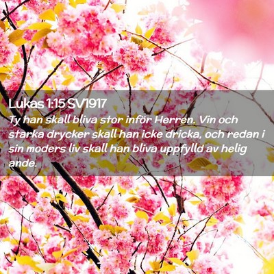 Picture 02 - Lukas 1:15 SV1917 - Ty han skall bliva stor inför Herren. Vin och - Bible Verse Picture