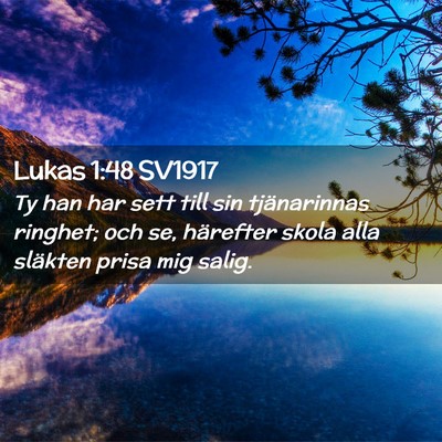 Picture 02 - Lukas 1:48 SV1917 - Ty han har sett till sin tjänarinnas ringhet; - Bible Verse Picture