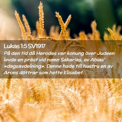 Picture 02 - Lukas 1:5 SV1917 - På den tid då Herodes var konung över Judeen - Bible Verse Picture