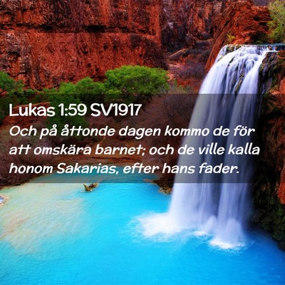 Picture 02 - Lukas 1:59 SV1917 - Och på åttonde dagen kommo de för att omskära - Bible Verse Picture