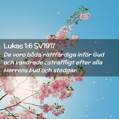 Picture 02 - Lukas 1:6 SV1917 - De voro båda rättfärdiga inför Gud och - Bible Verse Picture