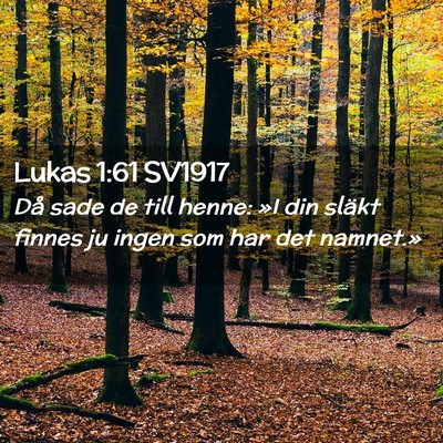 Picture 02 - Lukas 1:61 SV1917 - Då sade de till henne: »I din släkt finnes ju - Bible Verse Picture