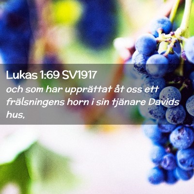 Picture 02 - Lukas 1:69 SV1917 - och som har upprättat åt oss ett frälsningens - Bible Verse Picture