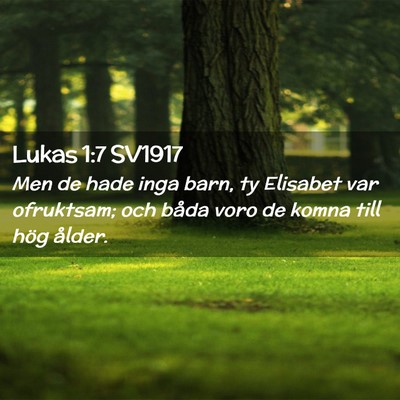 Picture 02 - Lukas 1:7 SV1917 - Men de hade inga barn, ty Elisabet var ofruktsam; - Bible Verse Picture