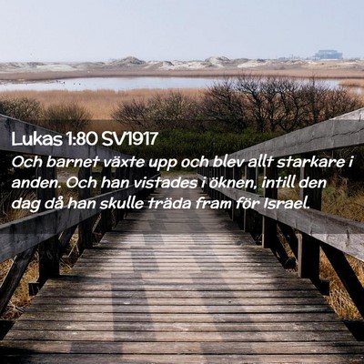 Picture 02 - Lukas 1:80 SV1917 - Och barnet växte upp och blev allt starkare i - Bible Verse Picture