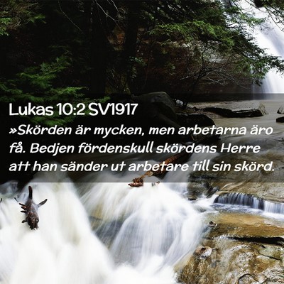 Picture 02 - Lukas 10:2 SV1917 - »Skörden är mycken, men arbetarna äro få. - Bible Verse Picture