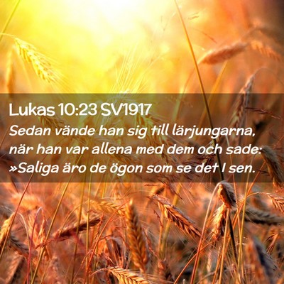 Picture 02 - Lukas 10:23 SV1917 - Sedan vände han sig till lärjungarna, när han - Bible Verse Picture