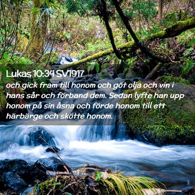 Picture 02 - Lukas 10:34 SV1917 - och gick fram till honom och göt olja och vin i - Bible Verse Picture