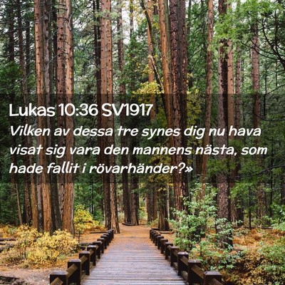Picture 02 - Lukas 10:36 SV1917 - Vilken av dessa tre synes dig nu hava visat sig - Bible Verse Picture