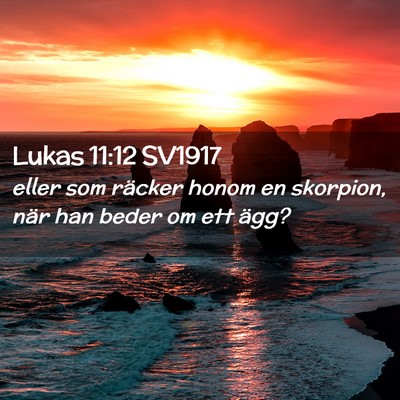 Picture 02 - Lukas 11:12 SV1917 - eller som räcker honom en skorpion, när han - Bible Verse Picture