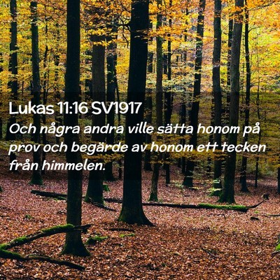 Picture 02 - Lukas 11:16 SV1917 - Och några andra ville sätta honom på prov och - Bible Verse Picture