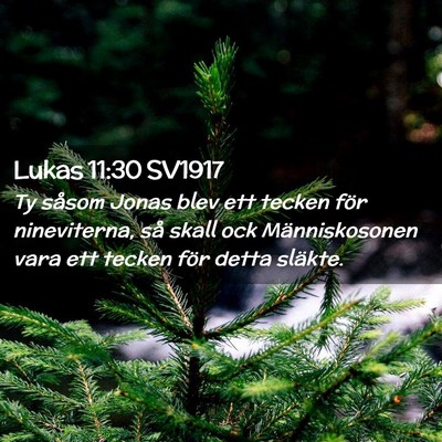 Picture 02 - Lukas 11:30 SV1917 - Ty såsom Jonas blev ett tecken för nineviterna, - Bible Verse Picture