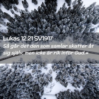 Picture 02 - Lukas 12:21 SV1917 - Så går det den som samlar skatter åt sig - Bible Verse Picture