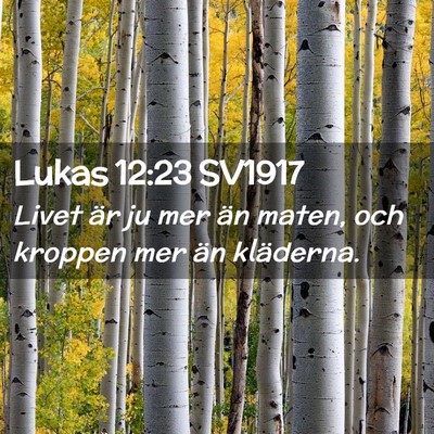 Picture 02 - Lukas 12:23 SV1917 - Livet är ju mer än maten, och kroppen mer än - Bible Verse Picture
