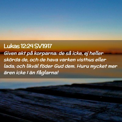 Picture 02 - Lukas 12:24 SV1917 - Given akt på korparna: de så icke, ej heller - Bible Verse Picture