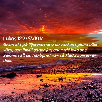 Picture 02 - Lukas 12:27 SV1917 - Given akt på liljorna, huru de varken spinna - Bible Verse Picture