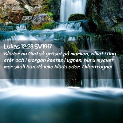 Picture 02 - Lukas 12:28 SV1917 - Kläder nu Gud så gräset på marken, vilket i - Bible Verse Picture