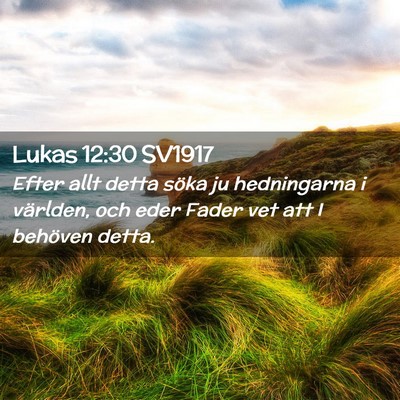 Picture 02 - Lukas 12:30 SV1917 - Efter allt detta söka ju hedningarna i världen, - Bible Verse Picture