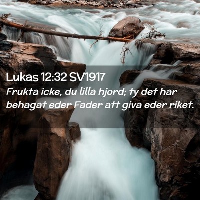 Picture 02 - Lukas 12:32 SV1917 - Frukta icke, du lilla hjord; ty det har behagat - Bible Verse Picture