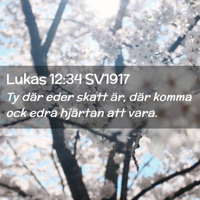 Picture 02 - Lukas 12:34 SV1917 - Ty där eder skatt är, där komma ock edra - Bible Verse Picture