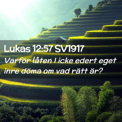Picture 02 - Lukas 12:57 SV1917 - Varför låten I icke edert eget inre döma om - Bible Verse Picture