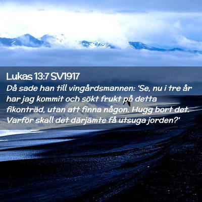 Picture 02 - Lukas 13:7 SV1917 - Då sade han till vingårdsmannen: 'Se, nu i tre - Bible Verse Picture