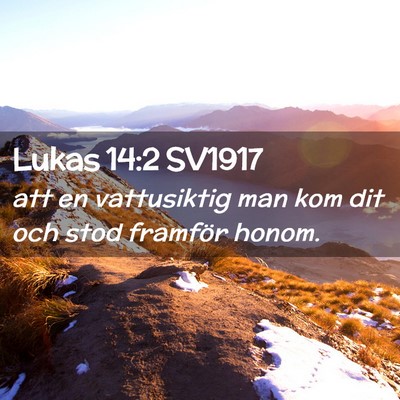 Picture 02 - Lukas 14:2 SV1917 - att en vattusiktig man kom dit och stod framför - Bible Verse Picture