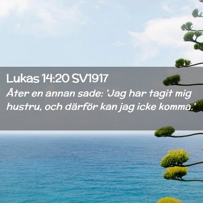 Picture 02 - Lukas 14:20 SV1917 - Åter en annan sade: 'Jag har tagit mig hustru, - Bible Verse Picture