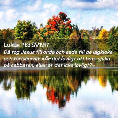 Picture 02 - Lukas 14:3 SV1917 - Då tog Jesus till orda och sade till de lagkloke - Bible Verse Picture