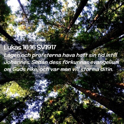 Picture 02 - Lukas 16:16 SV1917 - Lagen och profeterna hava haft sin tid intill - Bible Verse Picture