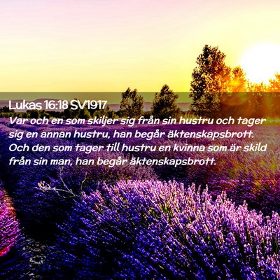 Picture 02 - Lukas 16:18 SV1917 - Var och en som skiljer sig från sin hustru och - Bible Verse Picture
