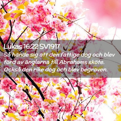 Picture 02 - Lukas 16:22 SV1917 - Så hände sig att den fattige dog och blev förd - Bible Verse Picture
