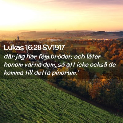 Picture 02 - Lukas 16:28 SV1917 - där jag har fem bröder, och låter honom varna - Bible Verse Picture