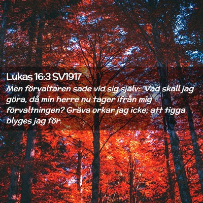 Picture 02 - Lukas 16:3 SV1917 - Men förvaltaren sade vid sig själv: 'Vad skall - Bible Verse Picture