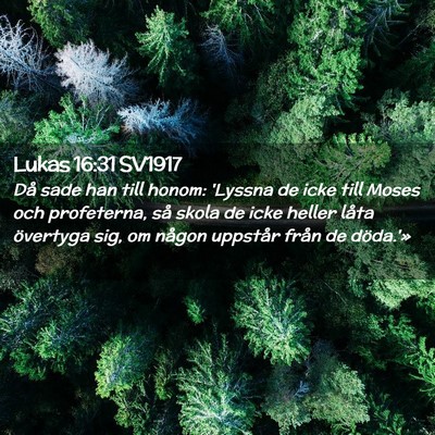 Picture 02 - Lukas 16:31 SV1917 - Då sade han till honom: 'Lyssna de icke till - Bible Verse Picture