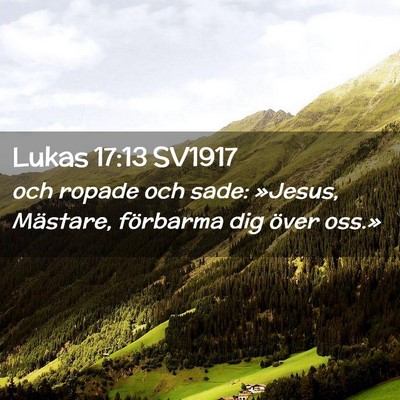 Picture 02 - Lukas 17:13 SV1917 - och ropade och sade: »Jesus, Mästare, förbarma - Bible Verse Picture
