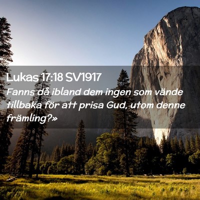 Picture 02 - Lukas 17:18 SV1917 - Fanns då ibland dem ingen som vände tillbaka - Bible Verse Picture