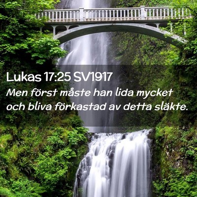 Picture 02 - Lukas 17:25 SV1917 - Men först måste han lida mycket och bliva - Bible Verse Picture