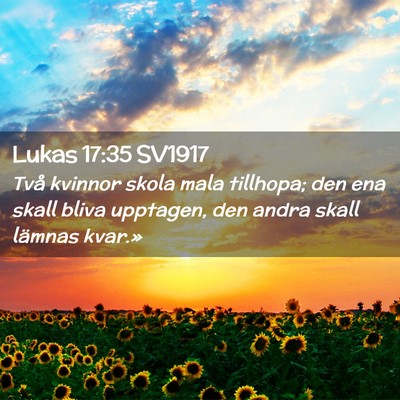 Picture 02 - Lukas 17:35 SV1917 - Två kvinnor skola mala tillhopa; den ena skall - Bible Verse Picture