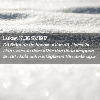 Picture 02 - Lukas 17:36 SV1917 - Då frågade de honom: »Var då, Herre?» Han - Bible Verse Picture