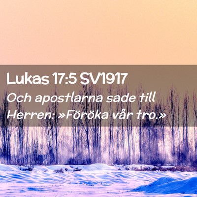 Picture 02 - Lukas 17:5 SV1917 - Och apostlarna sade till Herren: »Föröka vår - Bible Verse Picture