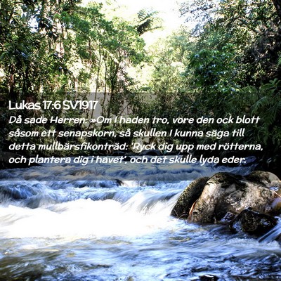Picture 02 - Lukas 17:6 SV1917 - Då sade Herren: »Om I haden tro, vore den ock - Bible Verse Picture