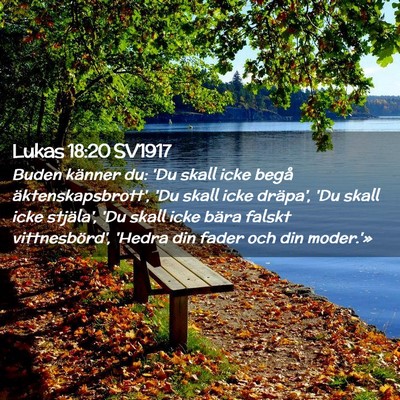 Picture 02 - Lukas 18:20 SV1917 - Buden känner du: 'Du skall icke begå - Bible Verse Picture