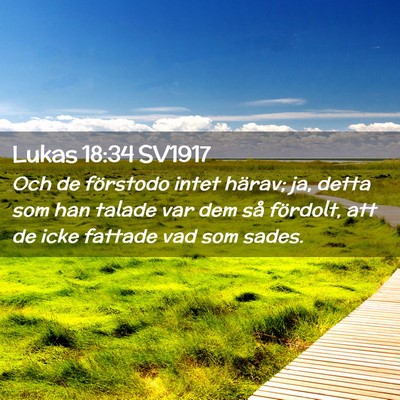 Picture 02 - Lukas 18:34 SV1917 - Och de förstodo intet härav; ja, detta som han - Bible Verse Picture