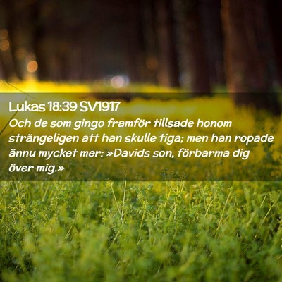 Picture 02 - Lukas 18:39 SV1917 - Och de som gingo framför tillsade honom - Bible Verse Picture