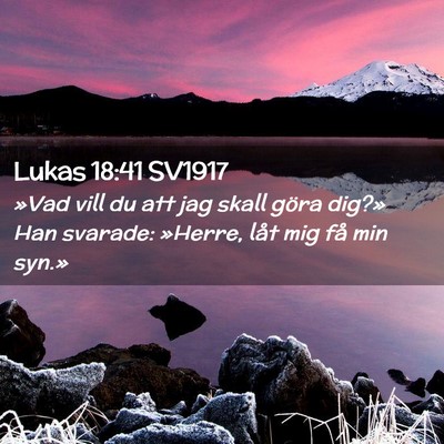 Picture 02 - Lukas 18:41 SV1917 - »Vad vill du att jag skall göra dig?» Han - Bible Verse Picture