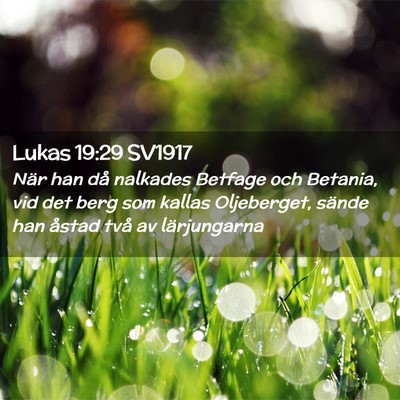 Picture 02 - Lukas 19:29 SV1917 - När han då nalkades Betfage och Betania, vid - Bible Verse Picture