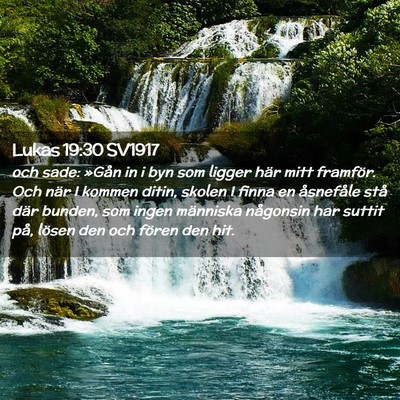 Picture 02 - Lukas 19:30 SV1917 - och sade: »Gån in i byn som ligger här mitt - Bible Verse Picture