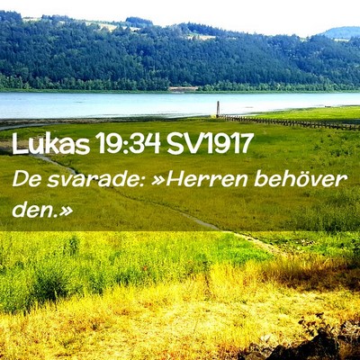 Picture 02 - Lukas 19:34 SV1917 - De svarade: »Herren behöver - Bible Verse Picture