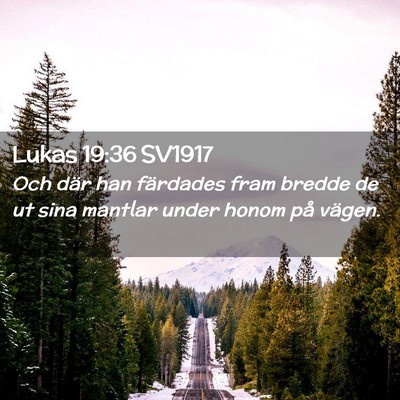 Picture 02 - Lukas 19:36 SV1917 - Och där han färdades fram bredde de ut sina - Bible Verse Picture